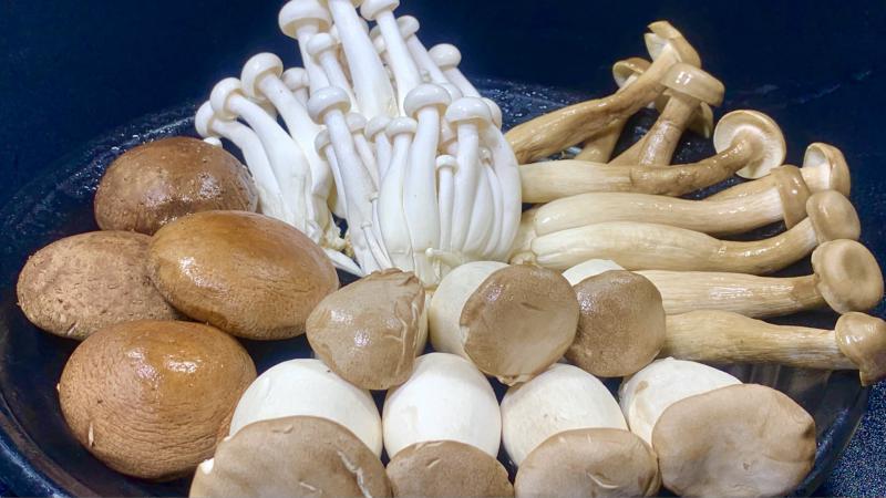 江西菌菇冷库保鲜方式及建造温度