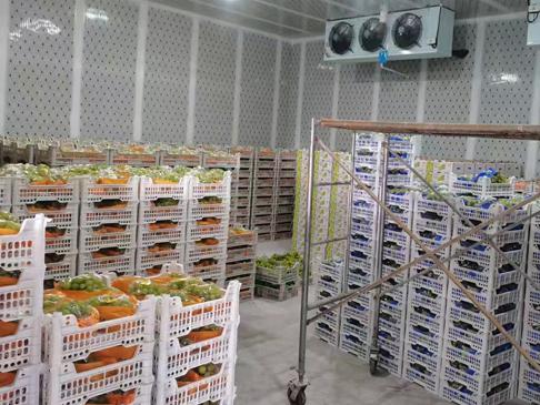 南昌新建蔻蔻食品
